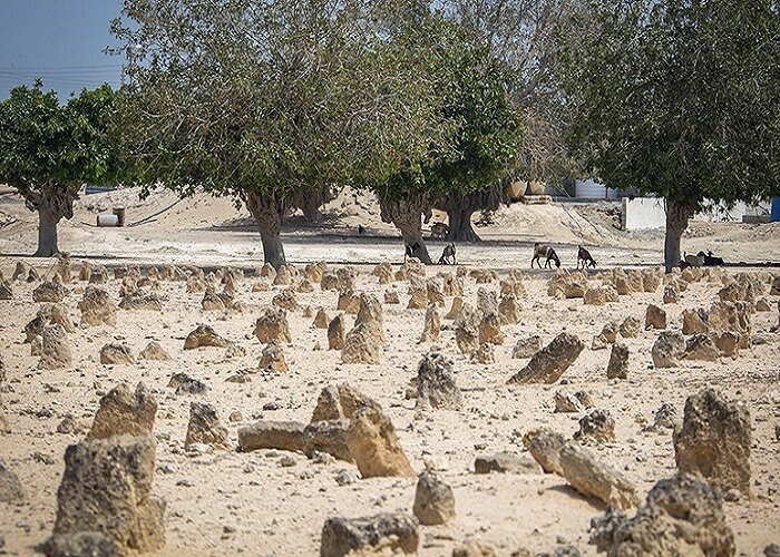 قبرستان جزیره هندورابی